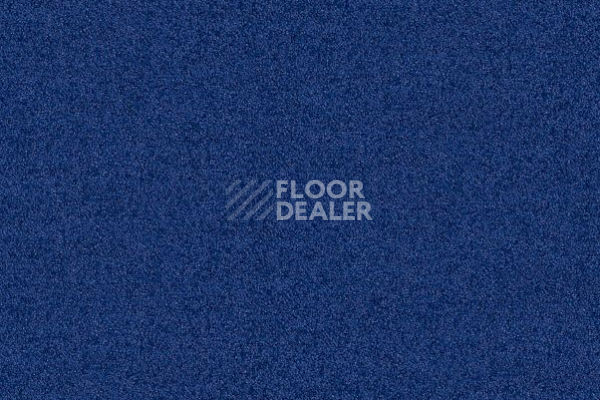 Ковровая плитка Interface Polichrome Solid 4266015 Blue Nights фото 1 | FLOORDEALER